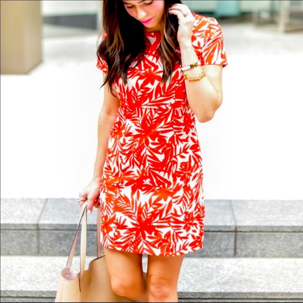 NWT Goodnight Macaroon Dress